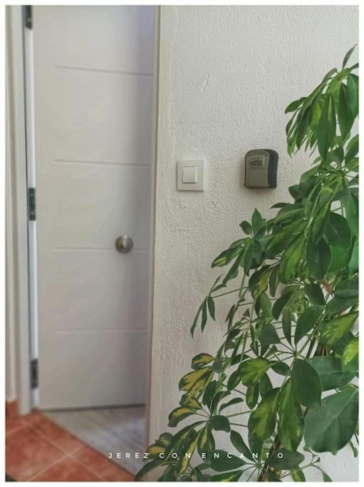 Апартаменты Atico En Pleno Centro De Jerez Sin Ascensor Херес-де-ла-Фронтера Экстерьер фото